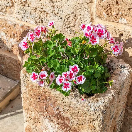 Masseria La Tofala Benessere & 4* 科佩尔蒂诺