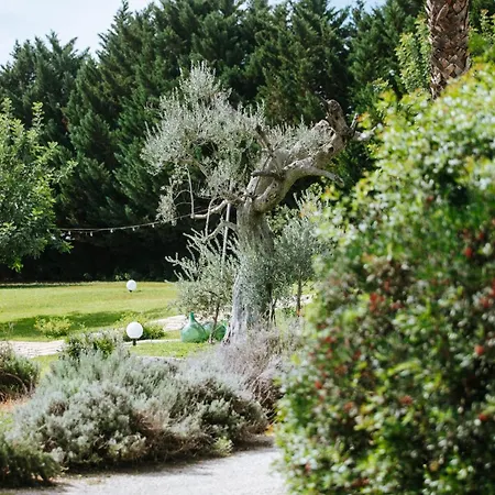 Masseria La Tofala Benessere & * Copertino