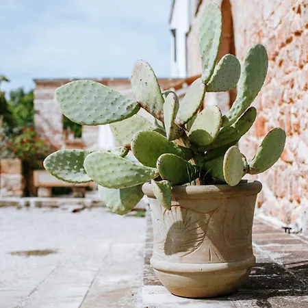 Masseria La Tofala Benessere &