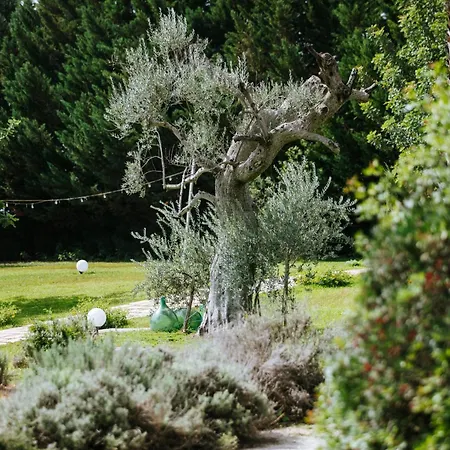 Masseria La Tofala Benessere & Oda ve Kahvaltı Copertino